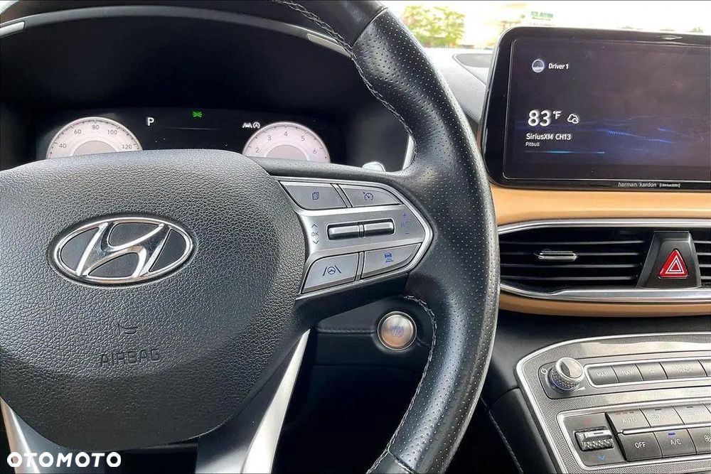 Hyundai Santa Fe - 17