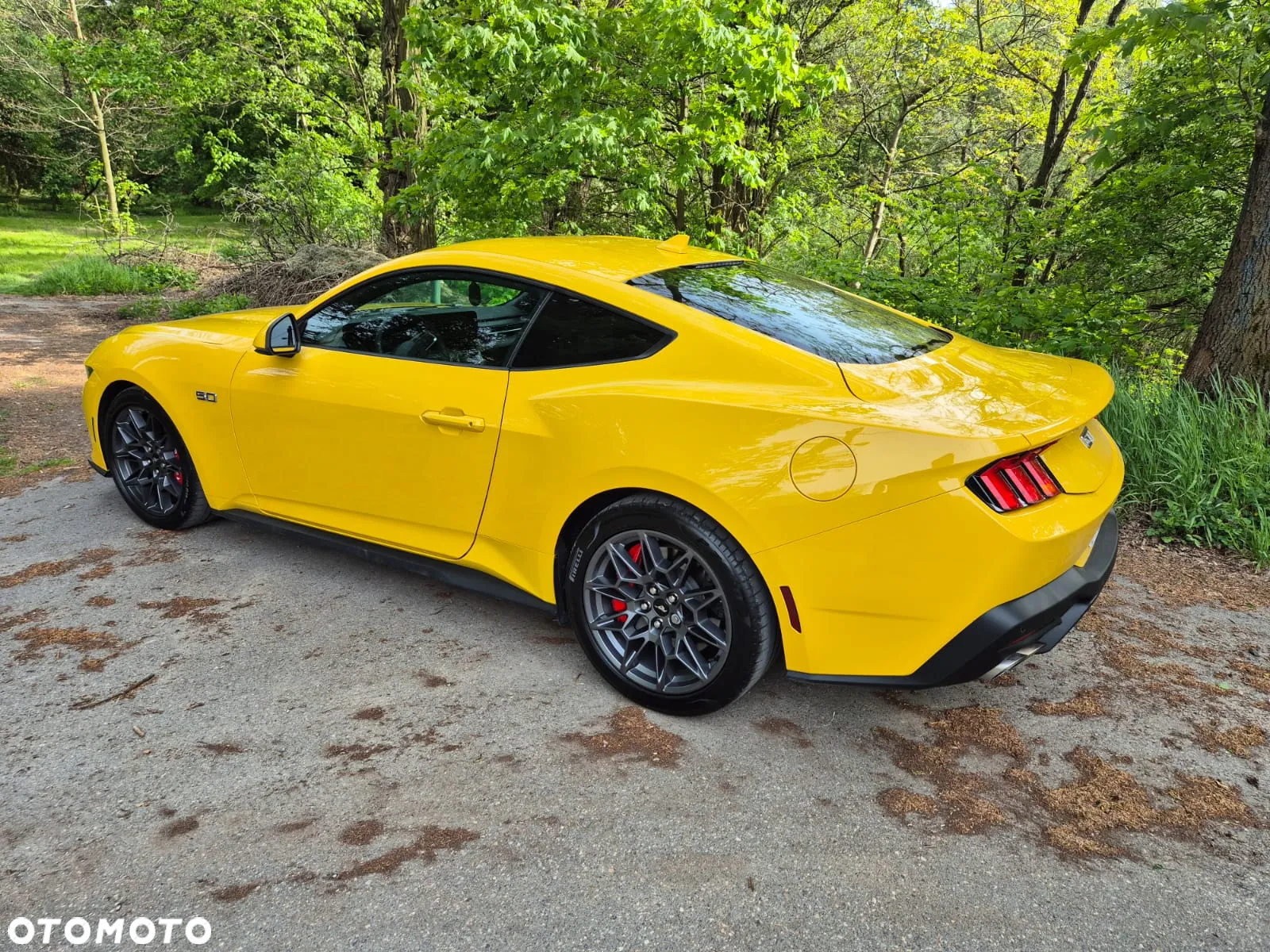 Ford Mustang Fastback 5.0 Ti-VCT V8 GT - 28