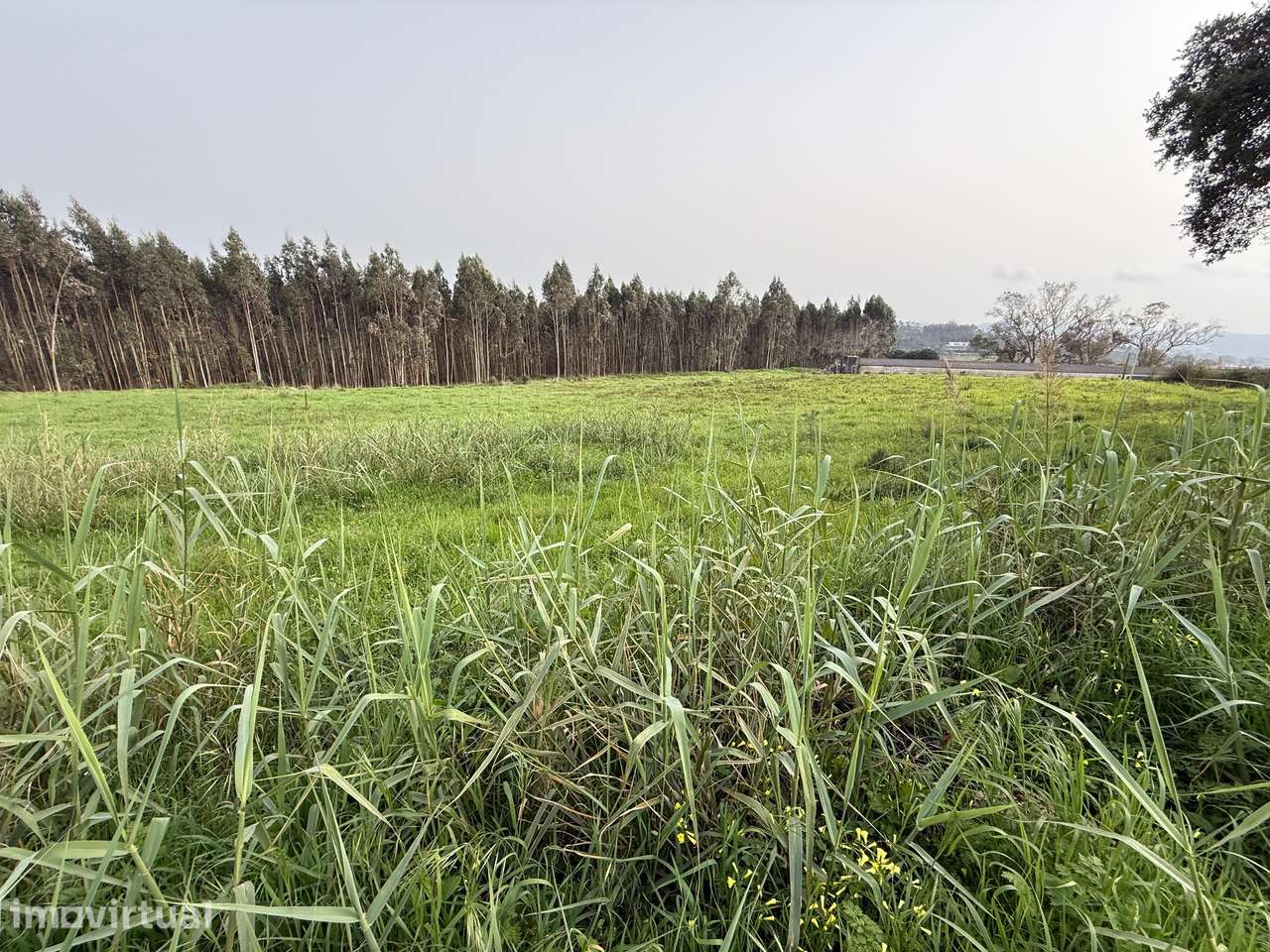 Terreno urbano - nos arredores da cidade de Caldas da Rainha - Grande imagem: 4/9