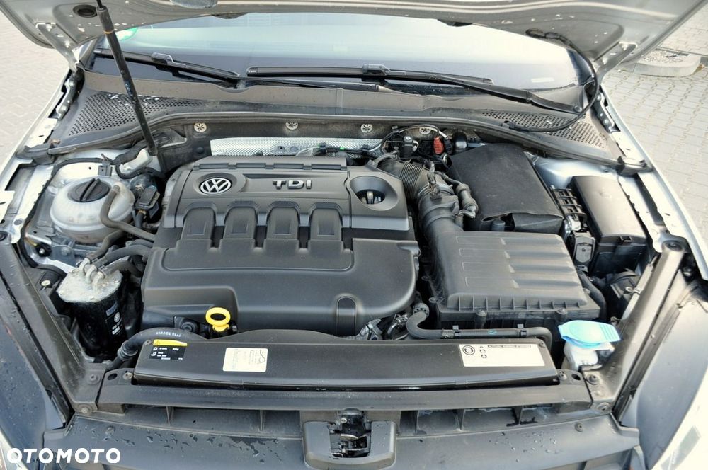 Volkswagen Golf - 39