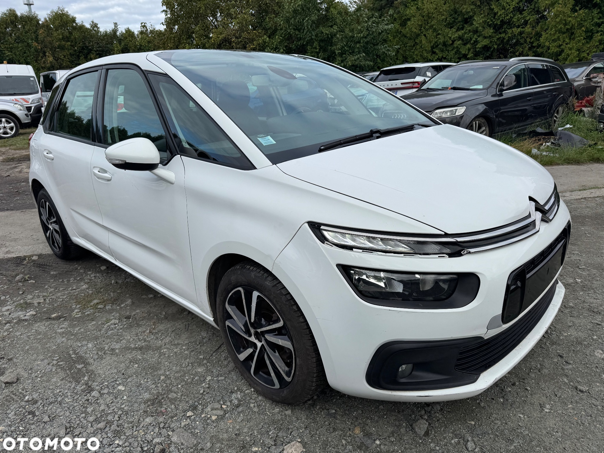 Citroën C4 Picasso BlueHDi 120 EAT6 Business Class - 24