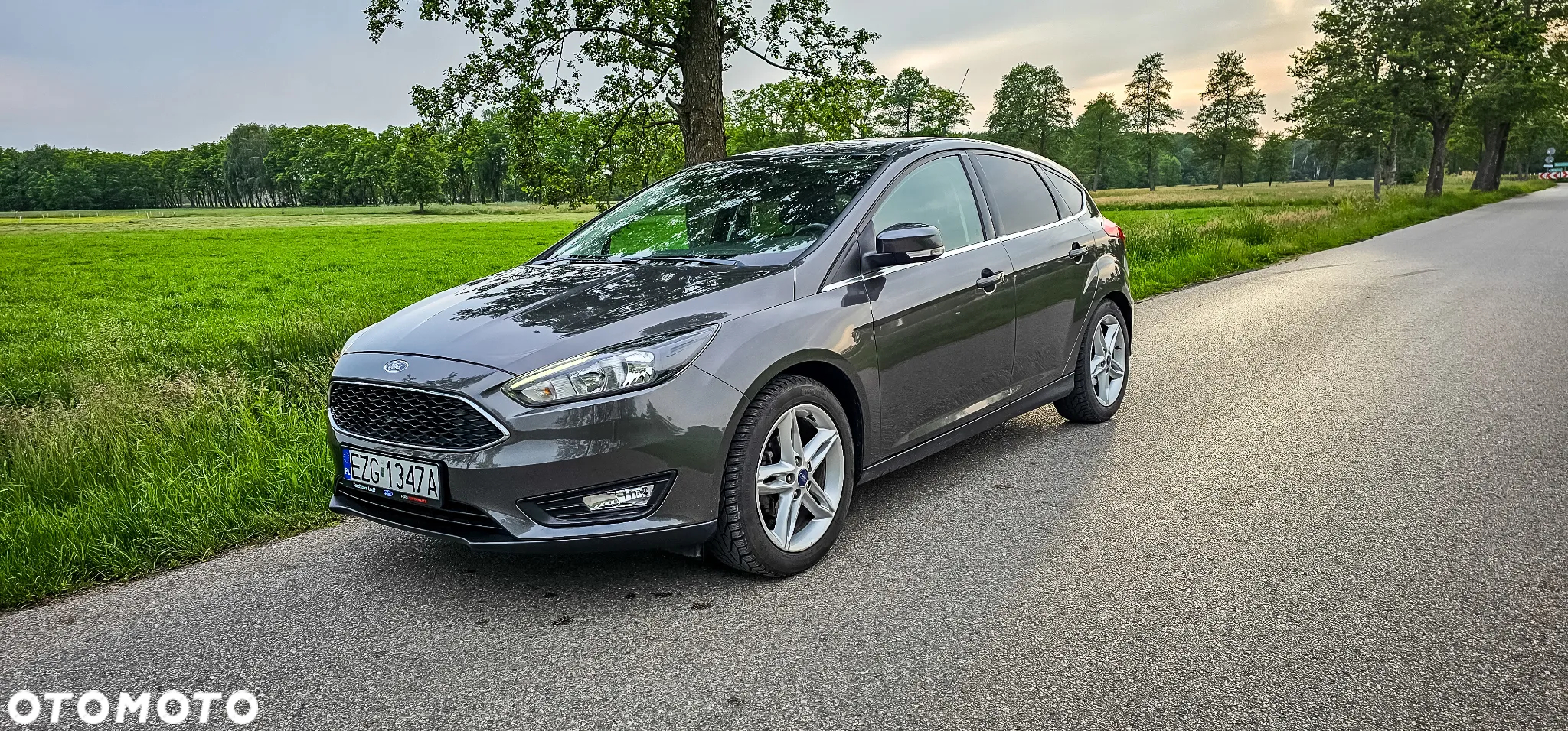 Ford Focus 1.6 Trend Sport - 5
