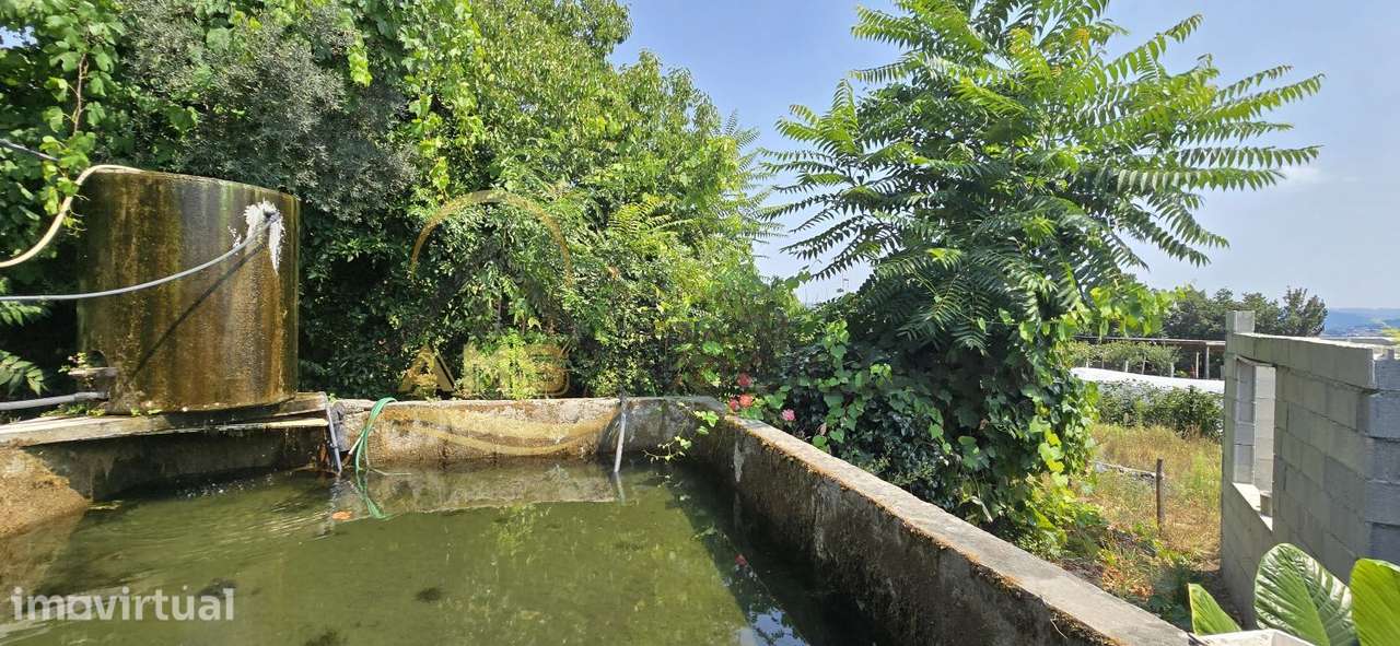 CAMPO PARA VENDA EM GOLÃES - Grande imagem: 2/14