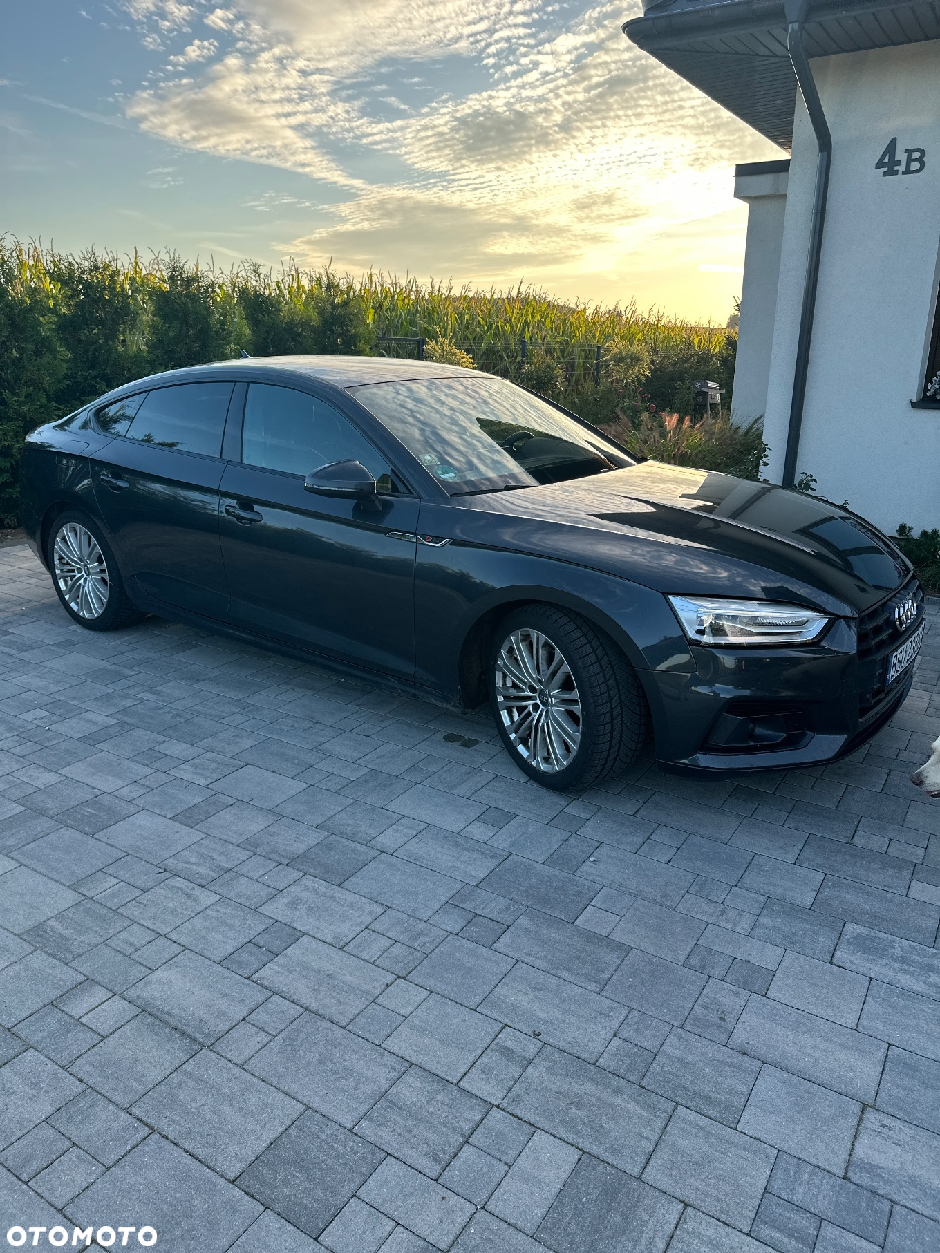 Audi A5 ver-2-0-tfsi-sport-s-tronic - 6