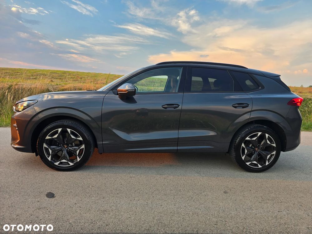 Cupra Terramar 2.0 TSI 4Drive DSG VZ Tribe Edition - 9