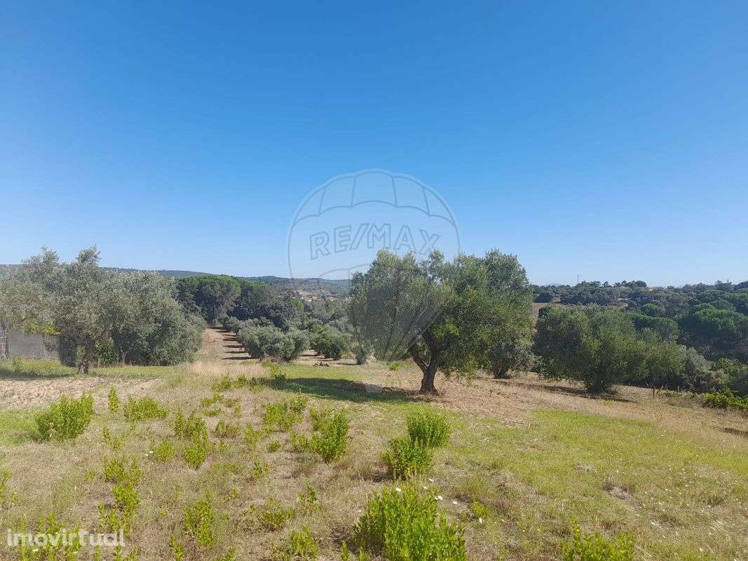 Terreno  para venda - Grande imagem: 4/8