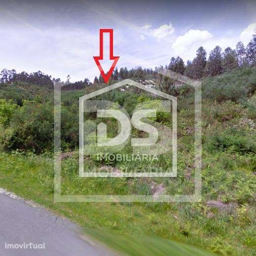 Terreno  Venda em Vila Boa de Quires e Maureles,Marco de Canaveses - Grande imagem: 3/9