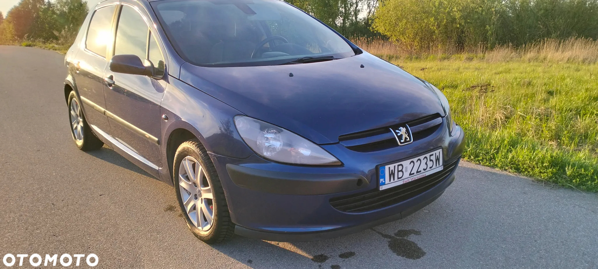 Peugeot 307 - 14