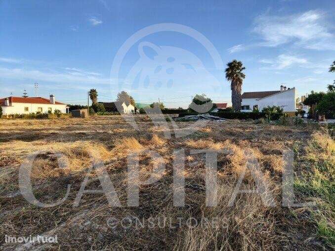 Terreno Usado para Venda - Grande imagem: 4/17