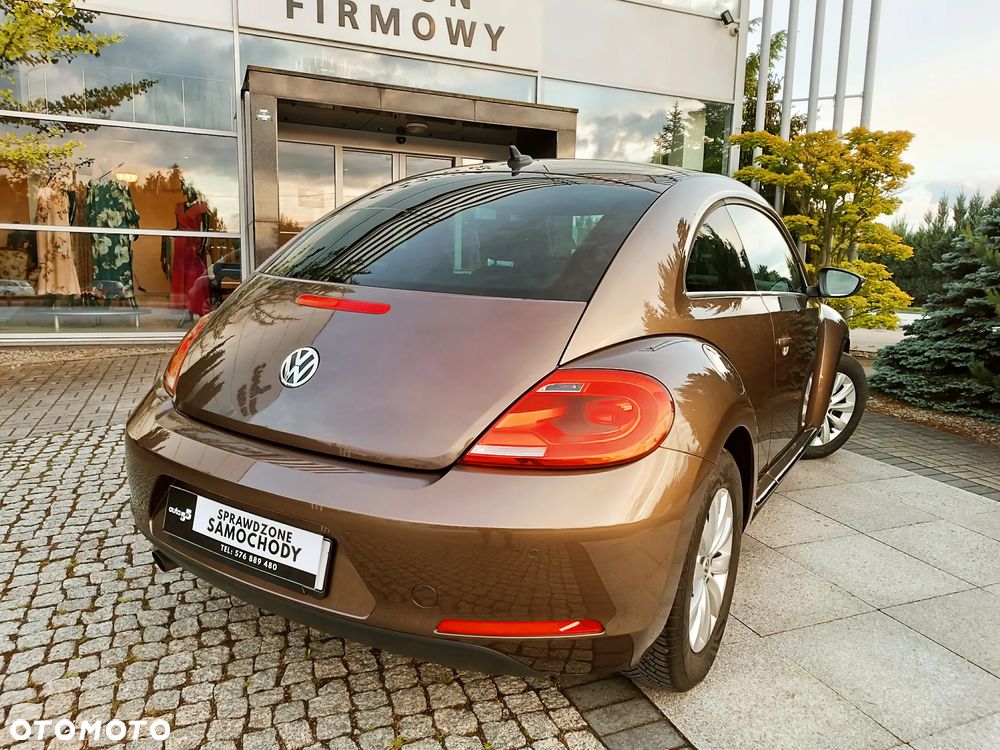 Volkswagen Beetle - 7