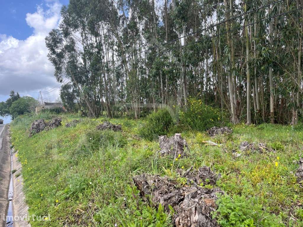 Terreno, São Clemente - Grande imagem: 3/7