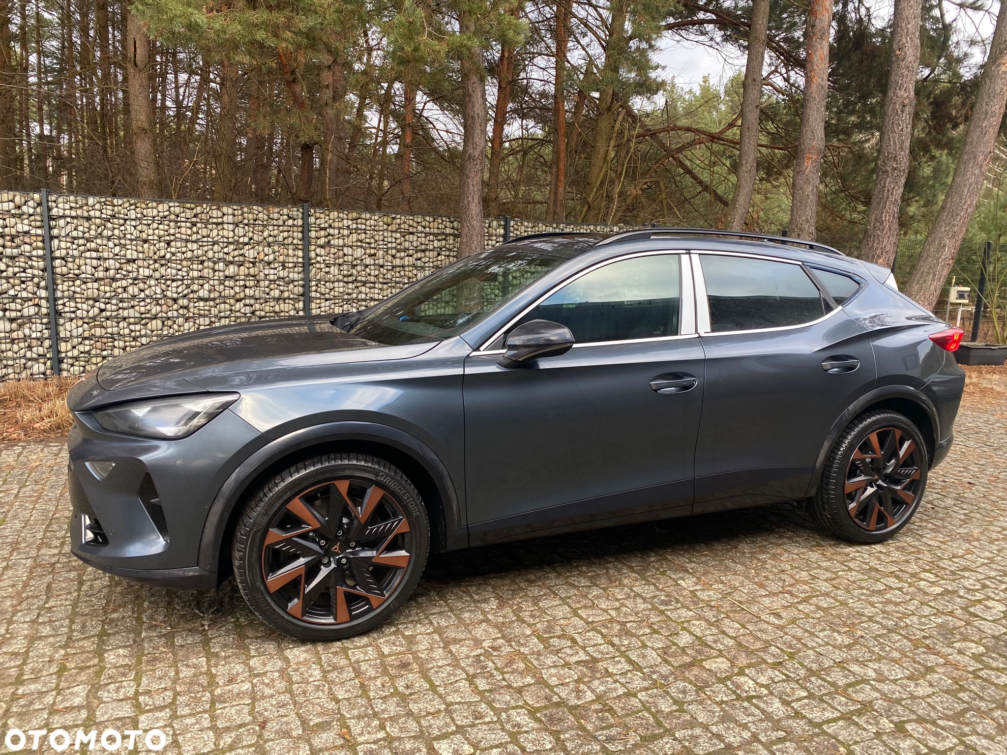 Cupra Formentor 2.0 TSI 4Drive VZ DSG - 6