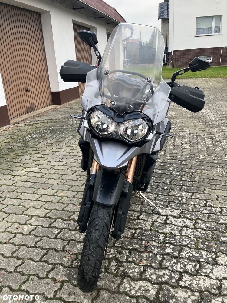 Triumph Tiger - 10