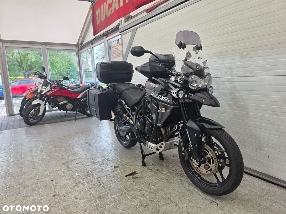 Triumph Tiger - 4