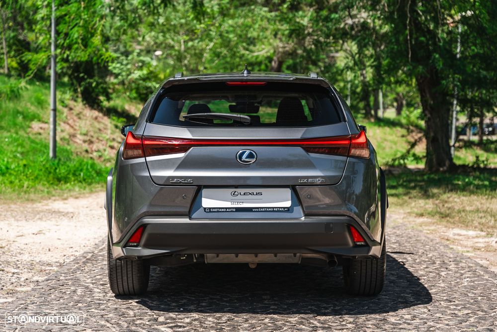 Lexus UX 250h Luxury - 7
