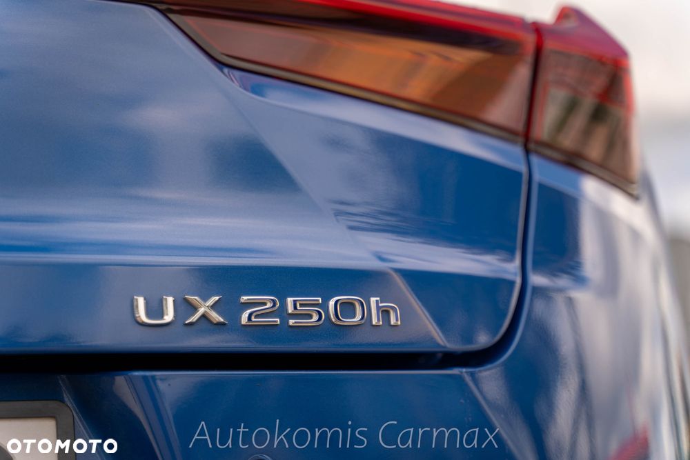 Lexus UX 250h - 13