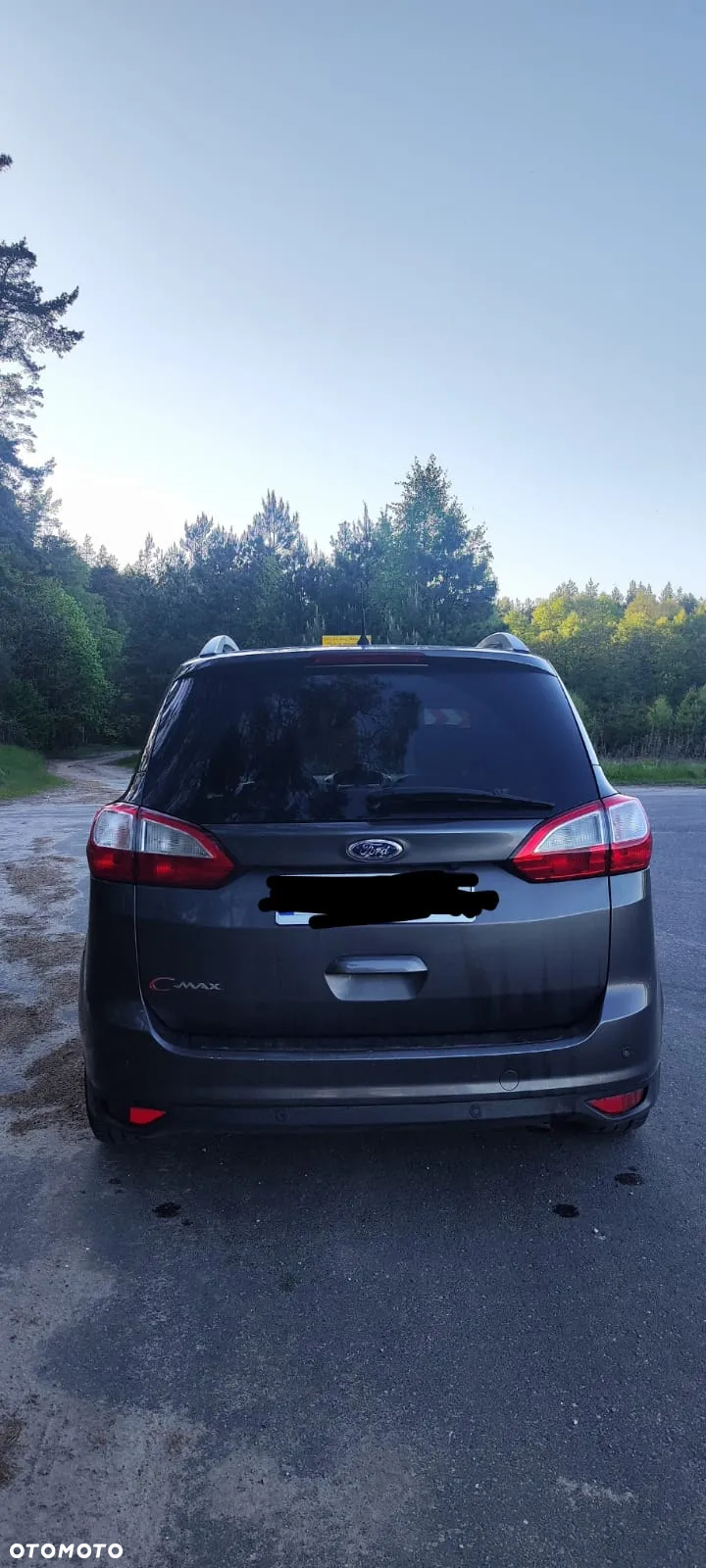 Ford Grand C-MAX 2.0 TDCi Titanium - 9