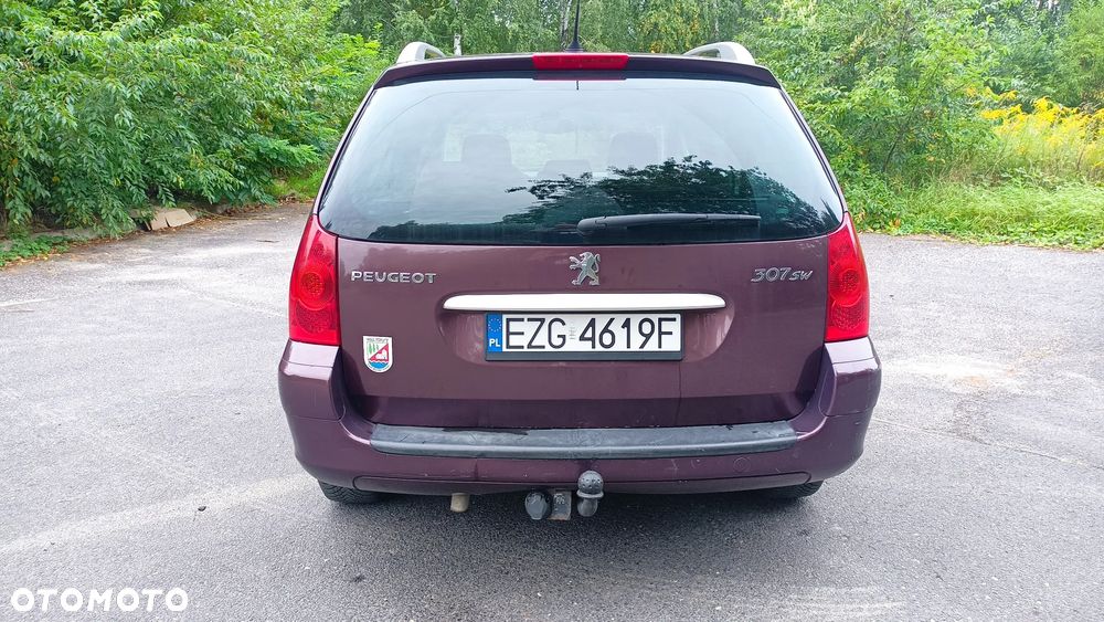 Peugeot 307 2.0 - 7