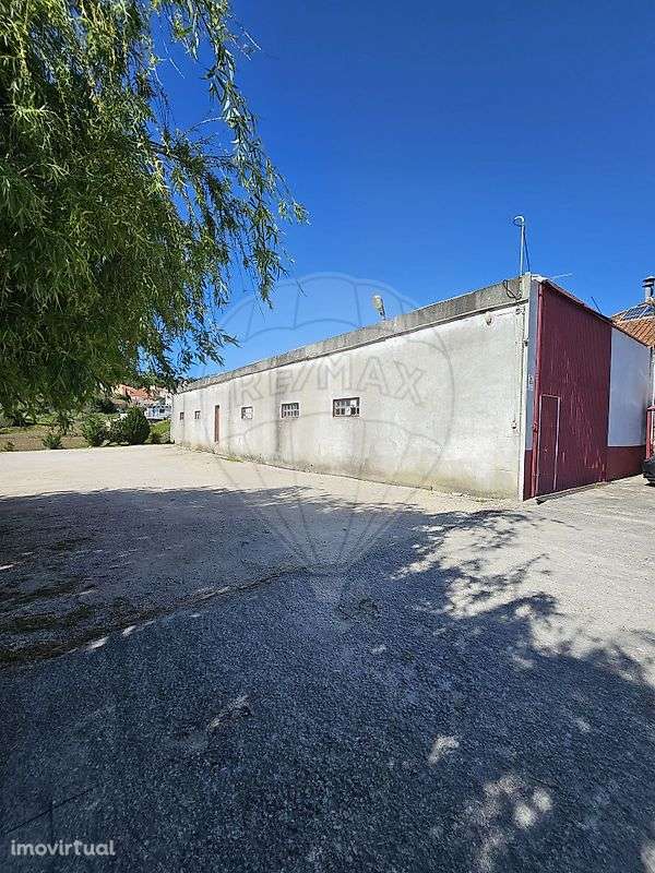 Armazém  para arrendamento - Grande imagem: 3/5