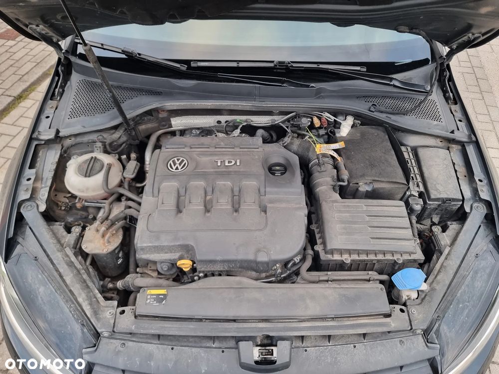 Volkswagen Golf - 15