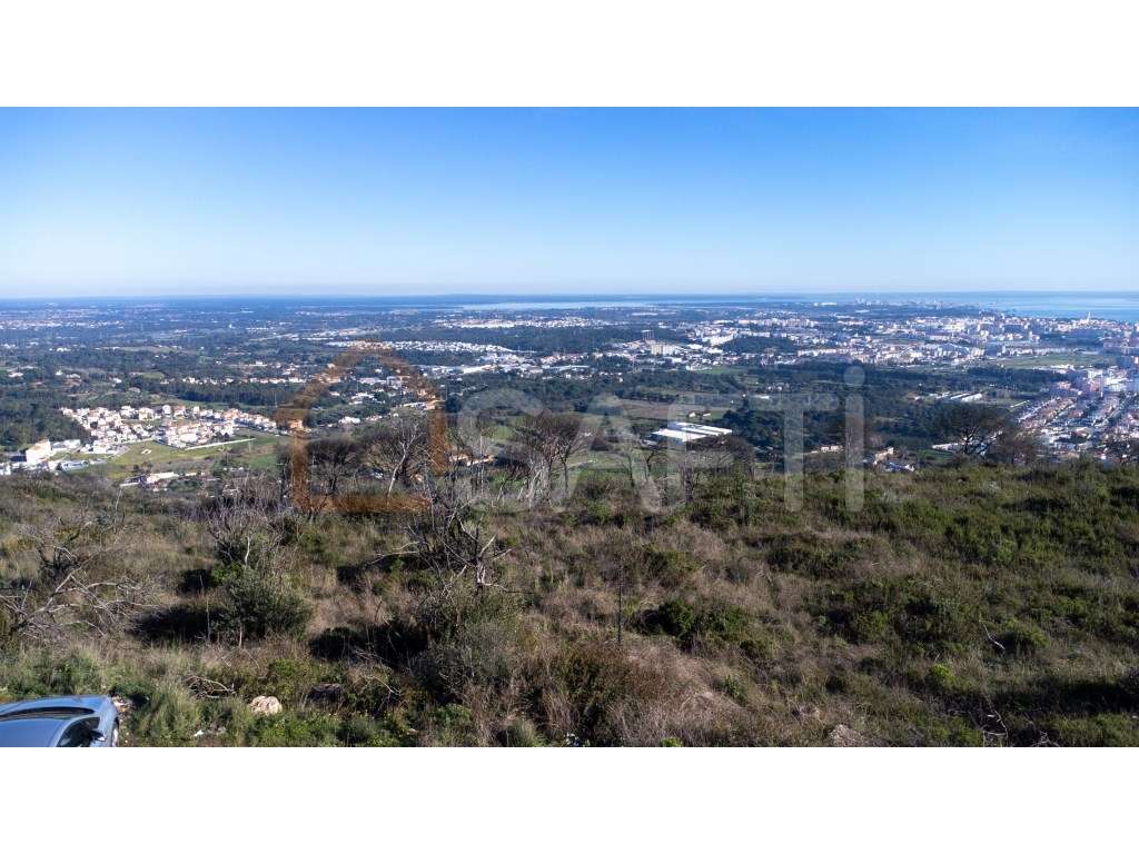 Terreno misto em Palmela de 40ha - Grande imagem: 5/10