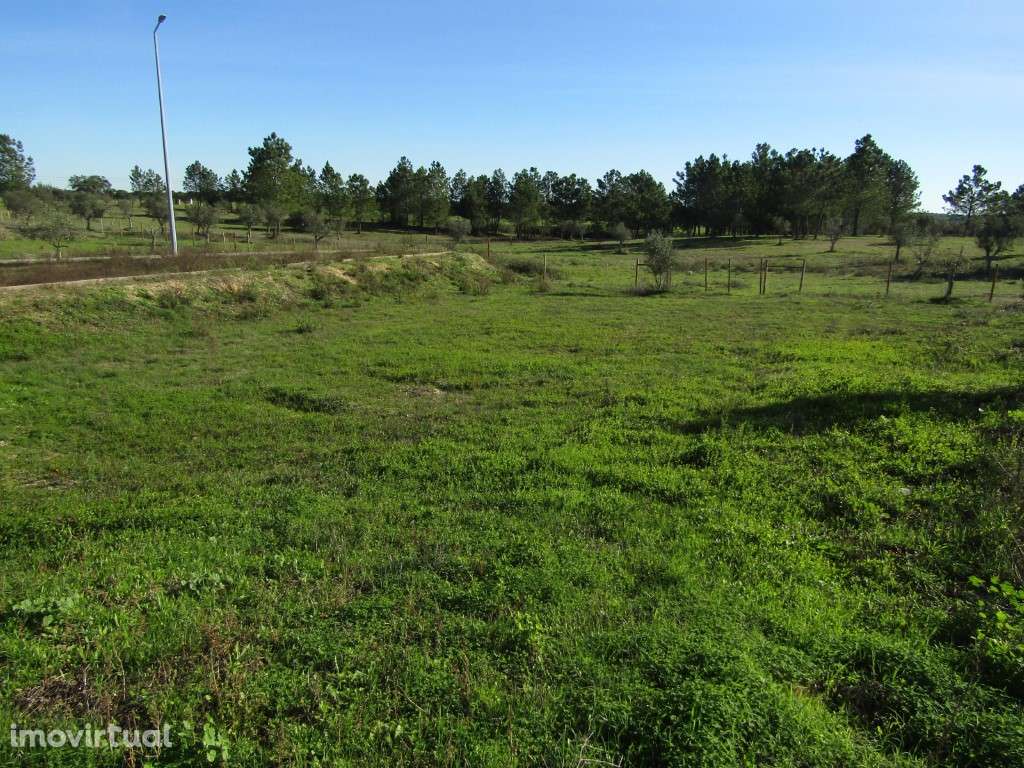 Lotes para Construção - preço por lote: 32 500 € - Grande imagem: 5/14