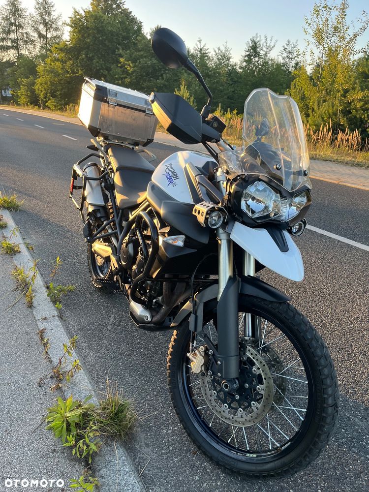Triumph Tiger - 11