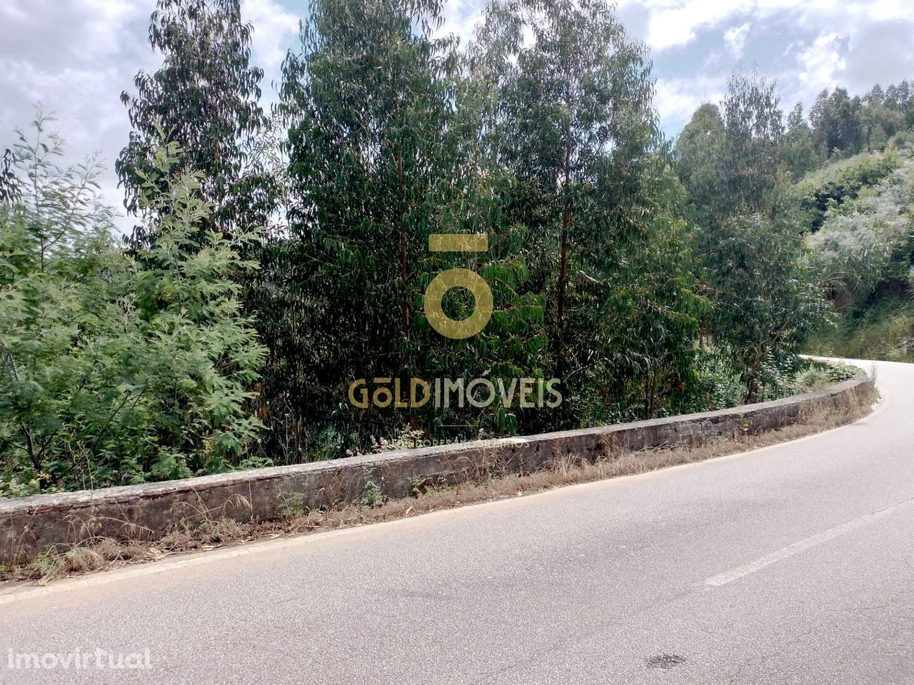 Terreno Rústico  Venda em Raiva, Pedorido e Paraíso,Castelo de Paiva - Grande imagem: 3/6