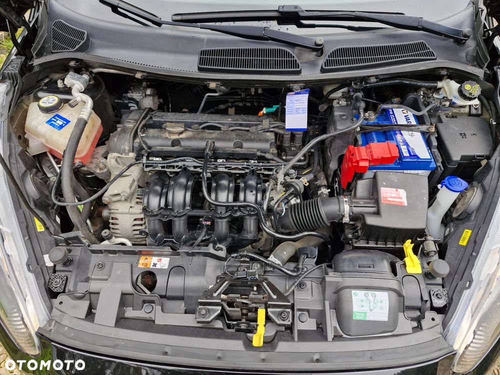 Ford Fiesta 1.25 Champions Edition - 25