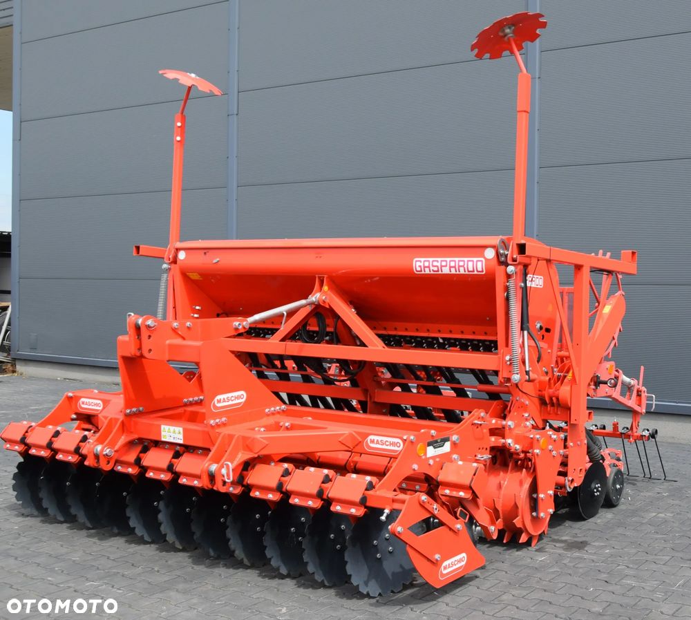 Maschio Gaspardo IENA D / DAMA - 8