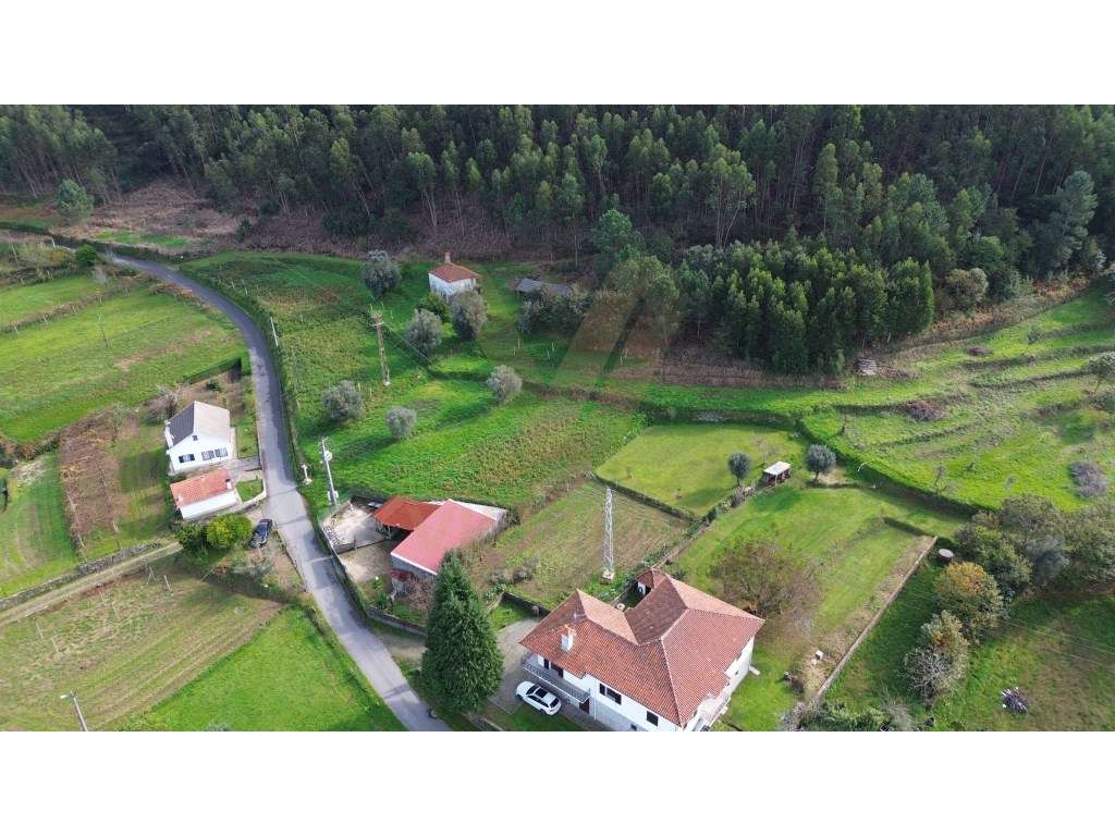 Terreno Urbano - Moreira do Lima - Ponte de Lima - Grande imagem: 3/8