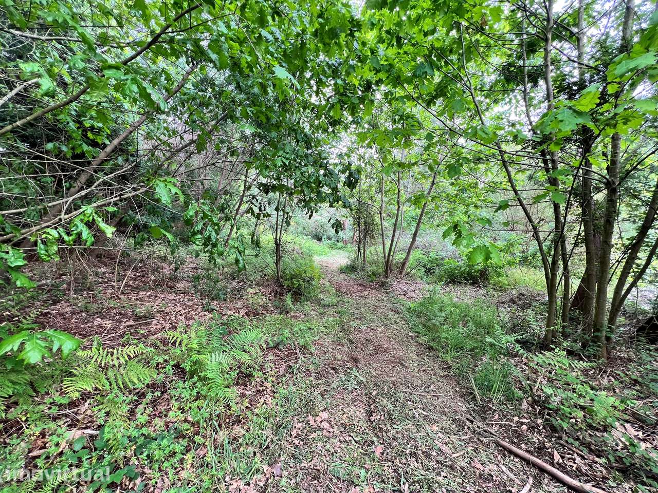 Terreno  Venda em Vila Nova de Cerveira e Lovelhe,Vila Nova de Cerveir - Grande imagem: 5/25