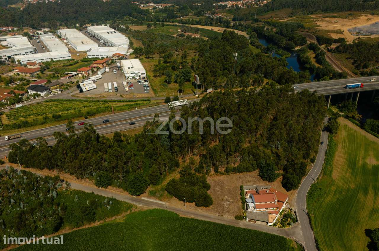 Terreno Florestal em Santo Tirso - Grande imagem: 2/7