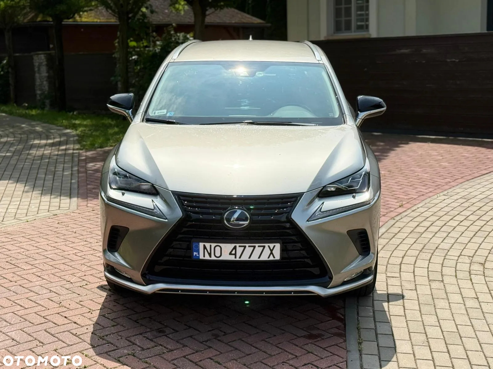 Lexus NX 300h F Impression AWD - 7