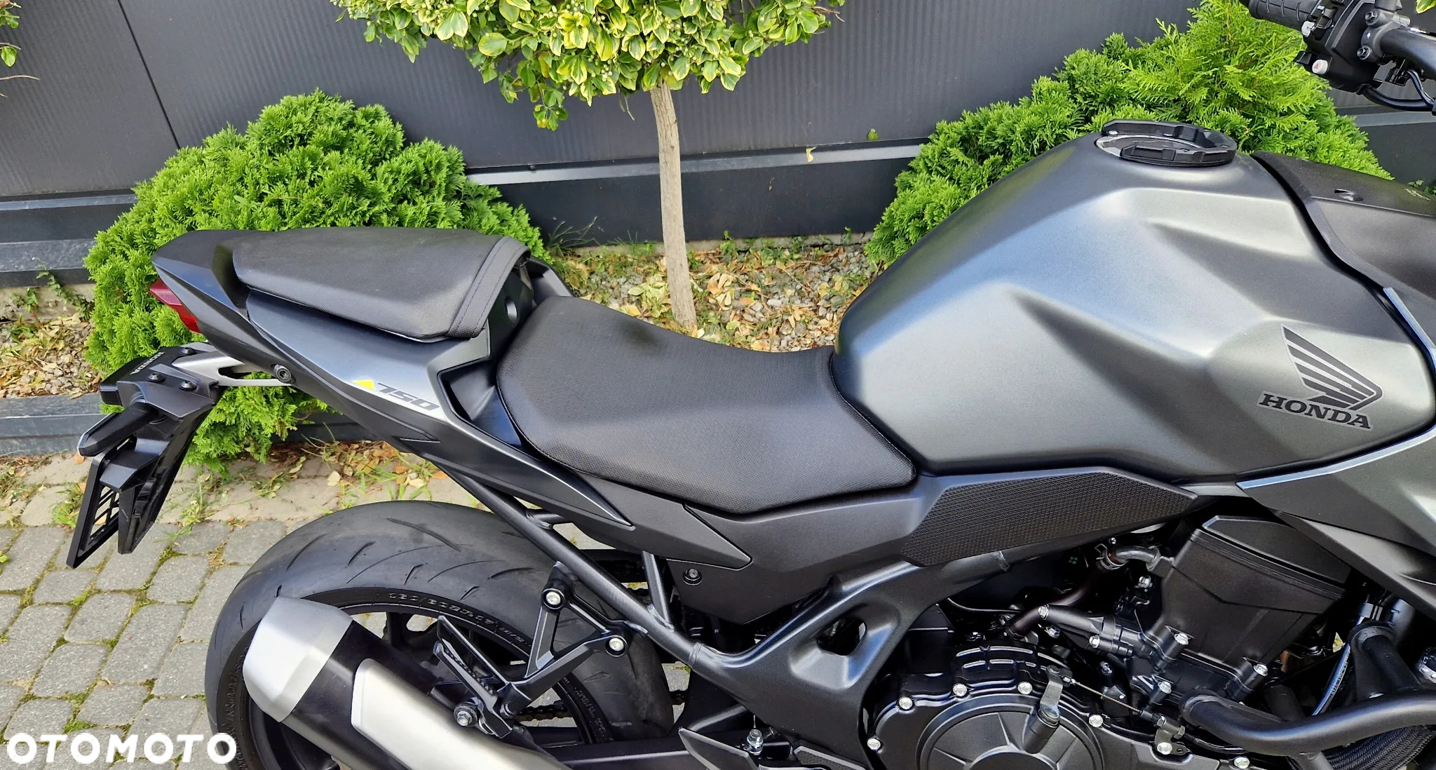 Honda Hornet - 21