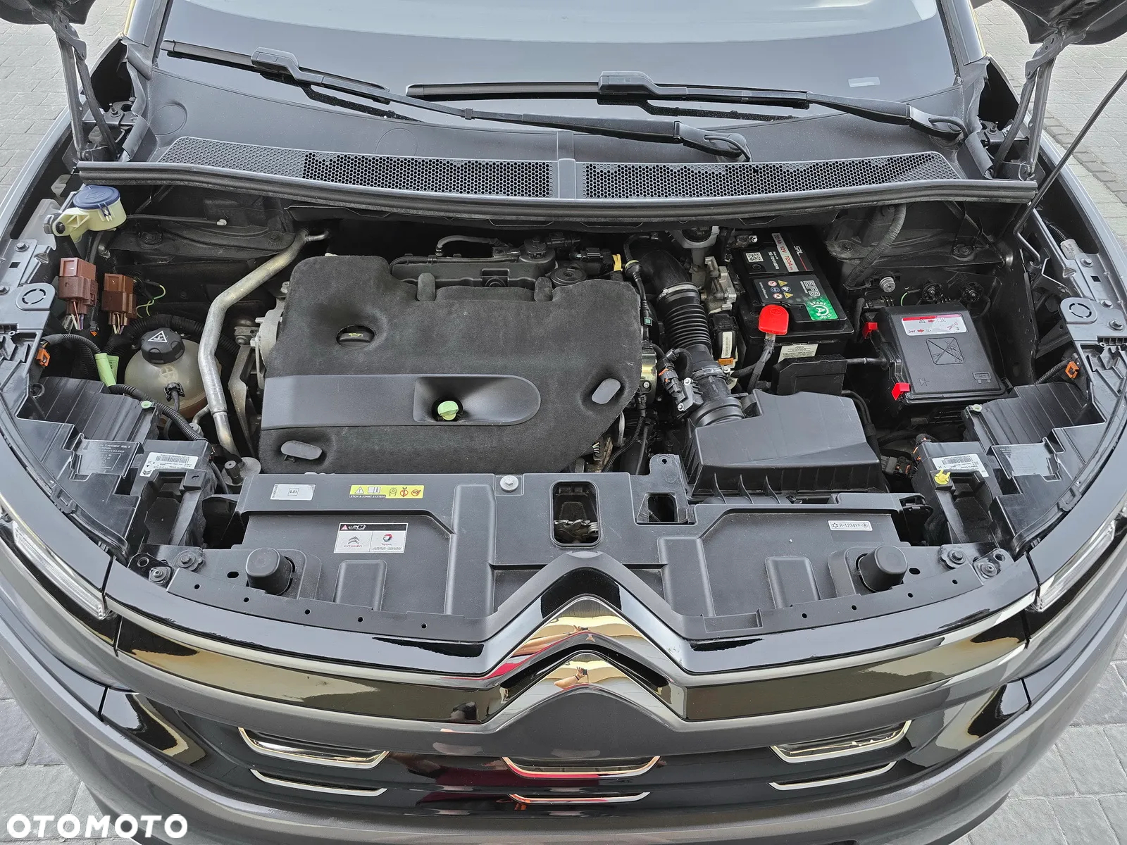 Citroën C5 Aircross 2.0 BlueHDi Shine EAT8 - 40