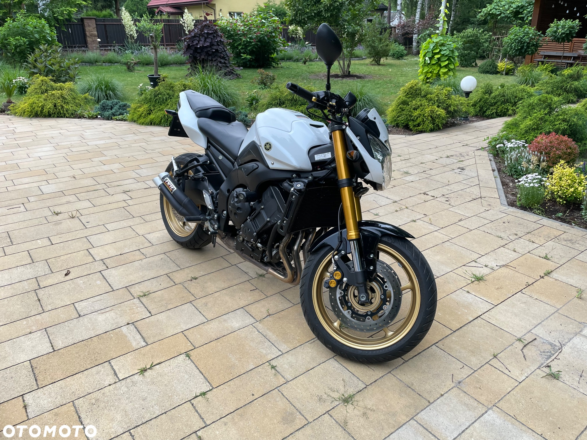 Yamaha FZ8 - 4