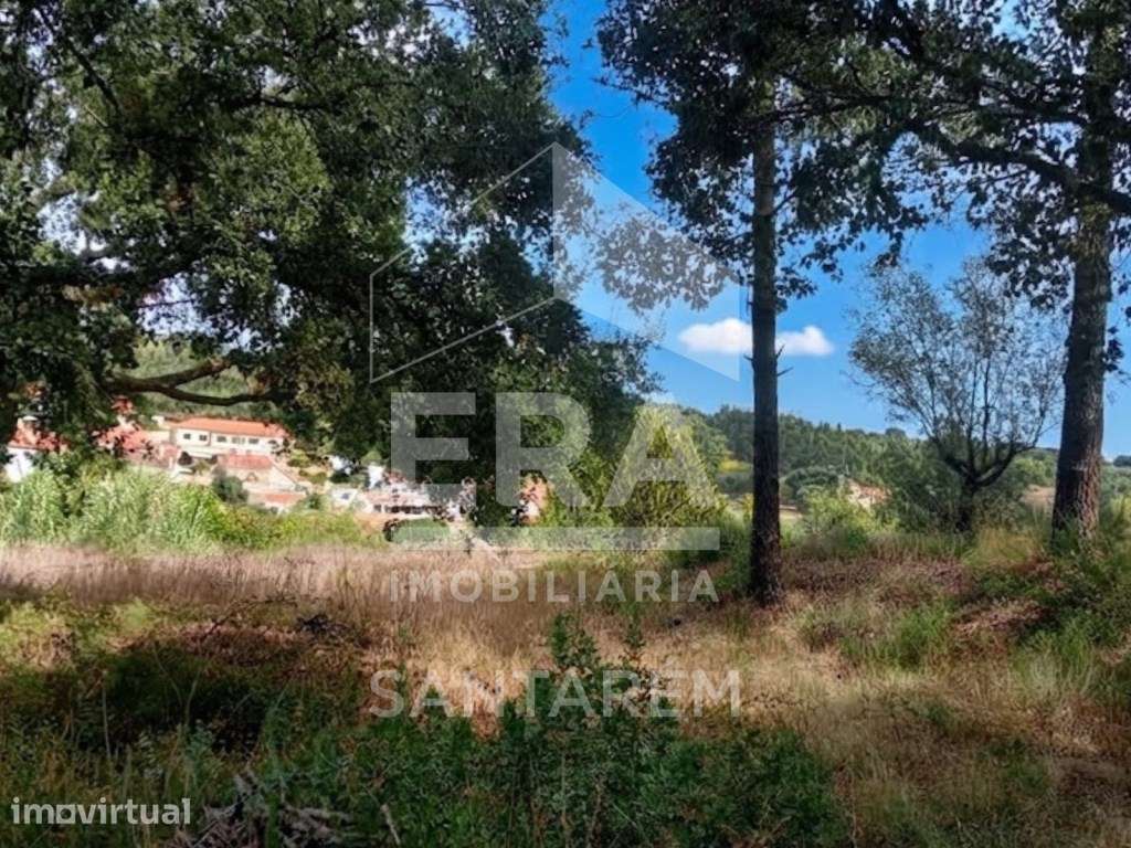 Magnífico Terreno com Potencial de Construção - Grande imagem: 4/10