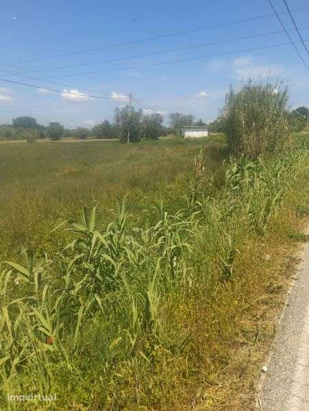 Terreno 9800m², Olaia e Paço - Grande imagem: 3/5