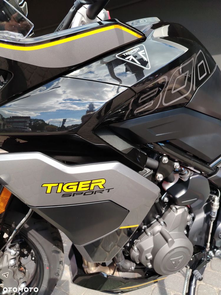 Triumph Tiger - 6