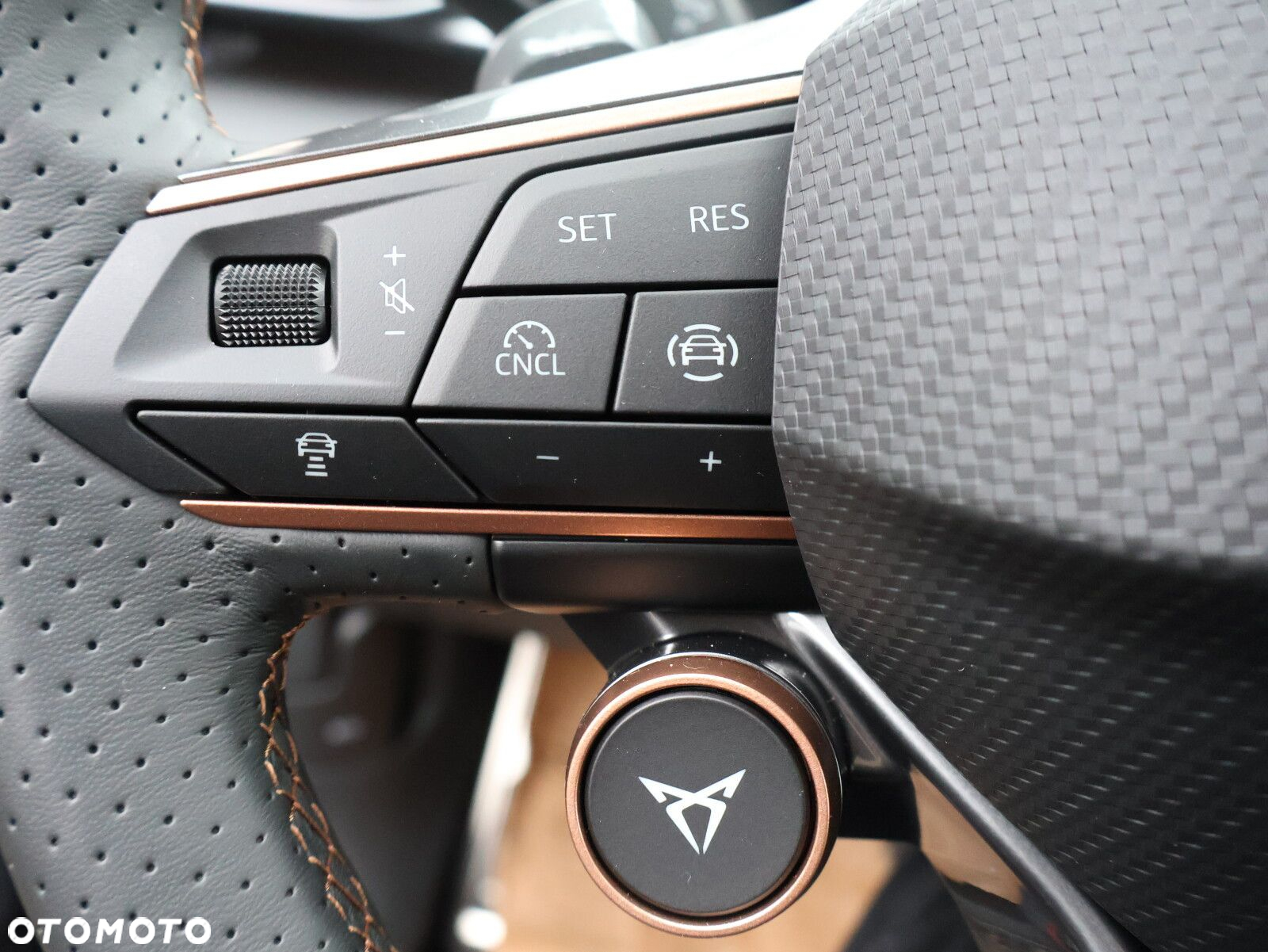 Cupra Terramar 1.5 eTSI mHEV DSG - 27