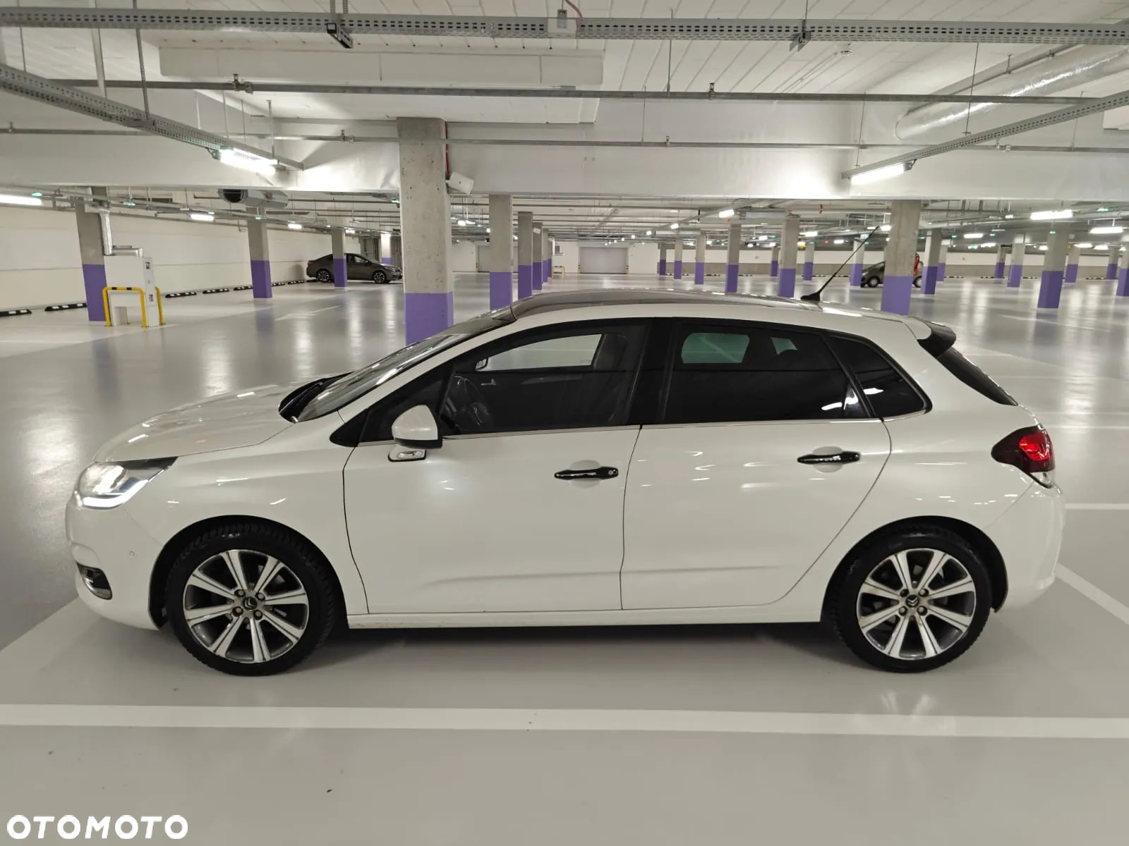 Citroën C4 1.2 PureTech Shine S&S EAT6 - 2