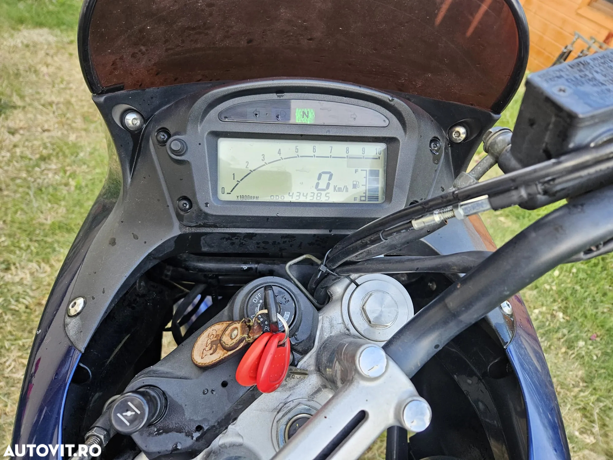 Suzuki XF 650 Freewind - 6