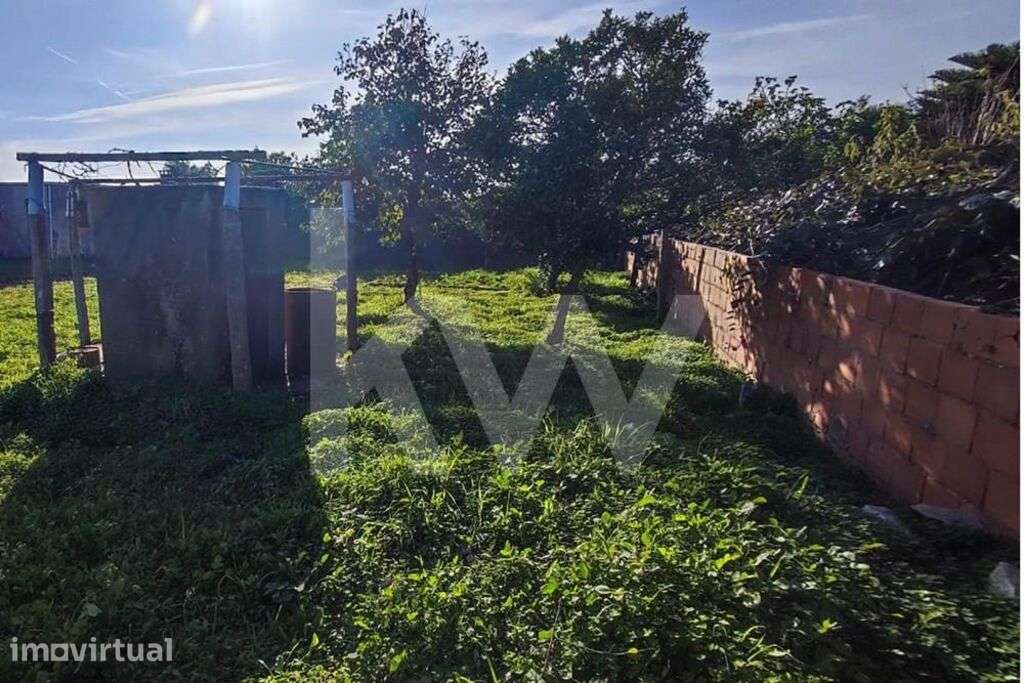 Lote de Terreno Urbano com 1276m2- Entre Cacia e Paço - Grande imagem: 5/8