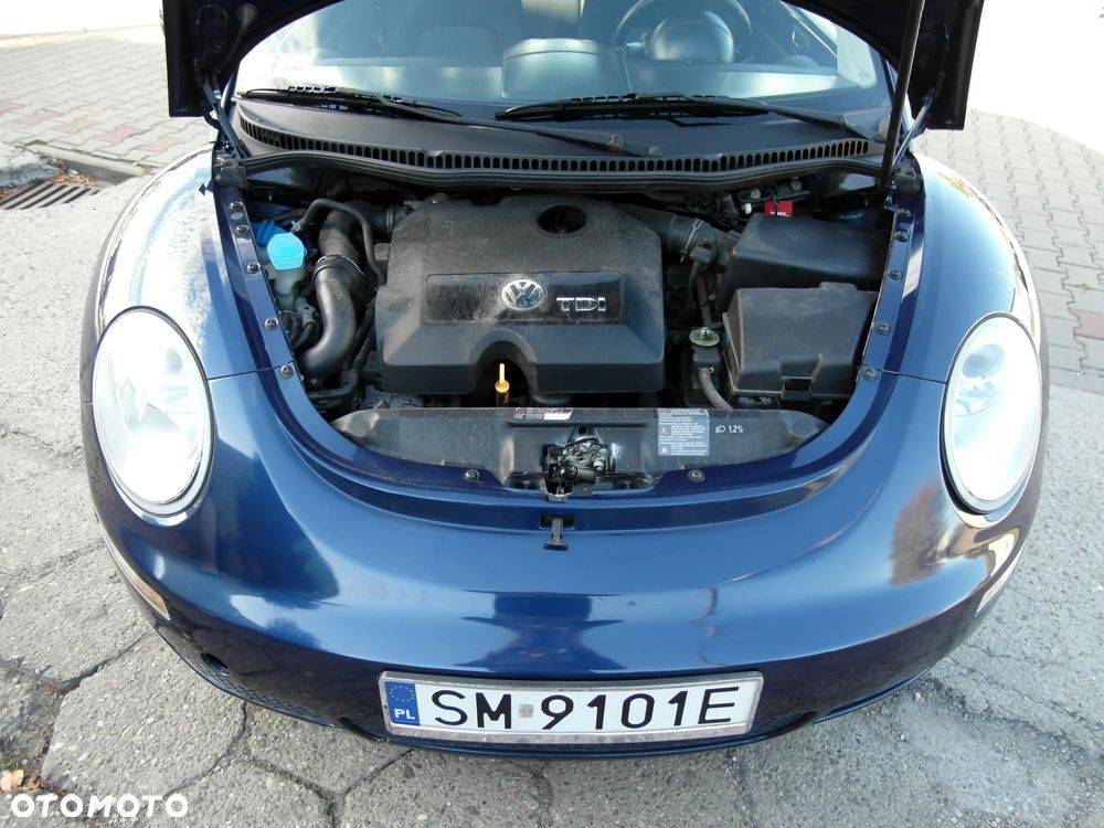 Volkswagen New Beetle - 6