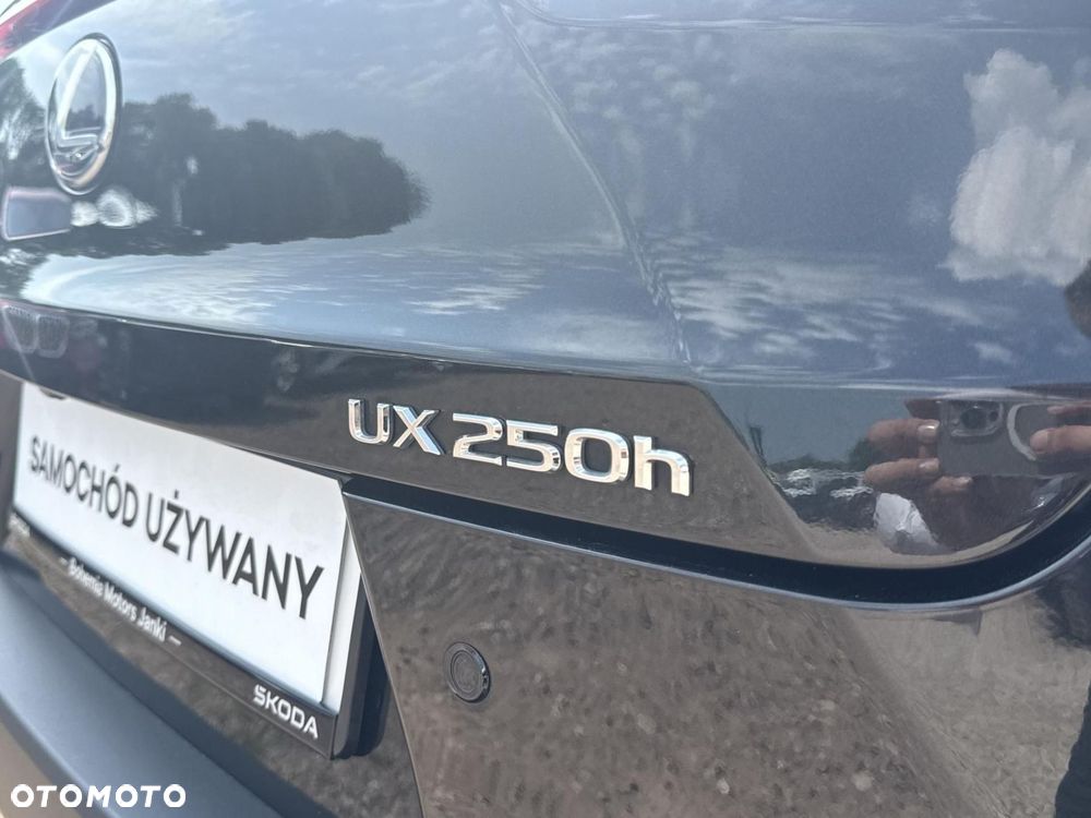 Lexus UX - 37