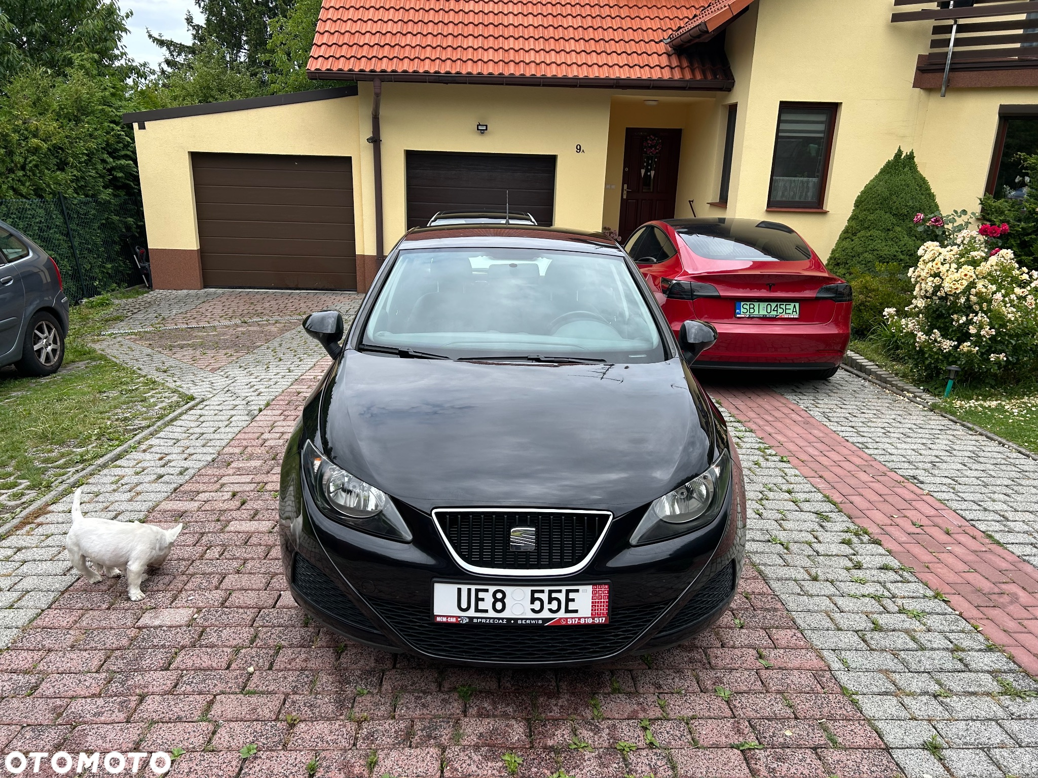 Seat Ibiza 1.4 16V Style - 3