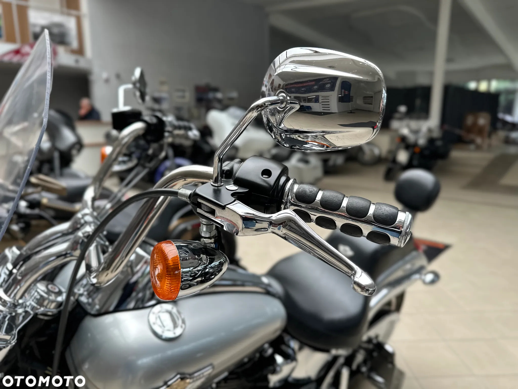 Harley-Davidson Softail - 25