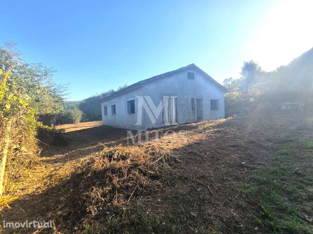 Terreno em Mujães - Grande imagem: 2/23