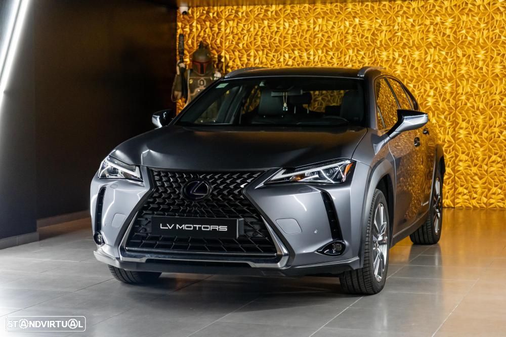Lexus UX 300e Luxury - 7